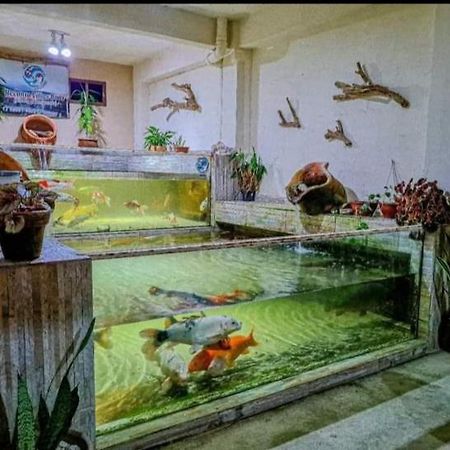 Recanto Villas Boas Ubatuba Exterior foto